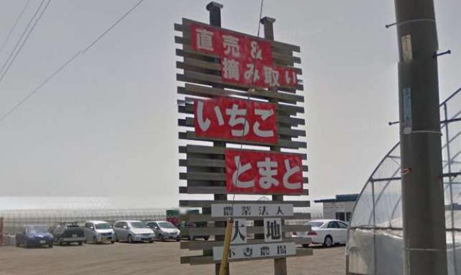 農業法人 大地 下妻農場