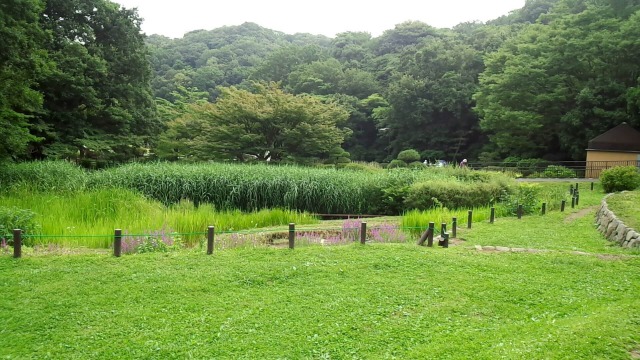 鎌倉ハムクラウン商会付近の久良岐公園4