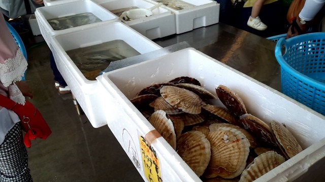 片瀬漁港の鮮魚直売所で販売されている新鮮魚